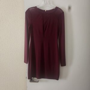 Express Deep Burgundy Long Sleeve Dress
